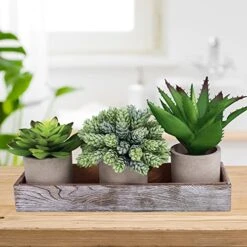 Winlyn Set Of 3 Artificial Potted Succulents Plants In Rustic Wood Tray Succulents Arrangement For Farmhouse Table Centerpiece Desk Windowsill Shelf Counter Home Bathroom Kitchen Office Country Decor 9 Winlyn Set Of 3 Artificial Potted Succulents Plants In Rustic Wood Tray Succulents Arrangement For Farmhouse Table Centerpiece Desk Windowsill Shelf Counter Home Bathroom Kitchen Office Country Decor -Green Leaf Store 51u6pGL3NRL
