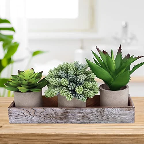 Winlyn Set Of 3 Artificial Potted Succulents Plants In Rustic Wood Tray Succulents Arrangement For Farmhouse Table Centerpiece Desk Windowsill Shelf Counter Home Bathroom Kitchen Office Country Decor 4 Winlyn Set Of 3 Artificial Potted Succulents Plants In Rustic Wood Tray Succulents Arrangement For Farmhouse Table Centerpiece Desk Windowsill Shelf Counter Home Bathroom Kitchen Office Country Decor - Image 4