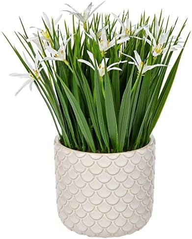 Briful Small Artificial Grass Plant Decor Wheat Fake Plant With Flowers In Ceramic Pot Real Touch Potted Greenery Faux Plant For Kitchen Countertop Tabletop Bookshelf Coffee Decorations 6 Briful Small Artificial Grass Plant Decor Wheat Fake Plant With Flowers In Ceramic Pot Real Touch Potted Greenery Faux Plant For Kitchen Countertop Tabletop Bookshelf Coffee Decorations - Image 6