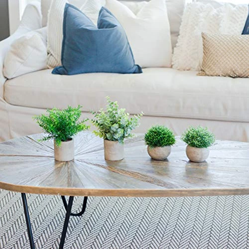 GreenCallow Artificial Plants For Home Decor Indoor. 4 Mini Plants, Rosemary Faux Plant Decor, Eucalyptus Plant, Grass Faux Plants. Small Fake Plants For Shelf Or Desk Plant Artificial Greenery Décor 4 GreenCallow Artificial Plants For Home Decor Indoor. 4 Mini Plants, Rosemary Faux Plant Decor, Eucalyptus Plant, Grass Faux Plants. Small Fake Plants For Shelf Or Desk Plant Artificial Greenery Décor - Image 4