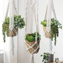 Winlyn 19 Pcs Assorted Artificial Succulents Plants Unpotted Small Green Aloe Hops Cactus String Of Pearls Picks Fake Succulents Bulk For Succulent Garden Floral Arrangement Indoor Outdoor Home Decor -Green Leaf Store 51uSpP4307L