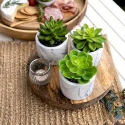 Kurrajong Farmhouse Artificial Succulent Plants In Pots | Mini Fake Plant For Shelves | Artificial Plants For Home Decor Indoor | Succulent Plants Artificial | Mini Plant Decor | Small Faux Plants -Green Leaf Store 51uo3XIjv6L