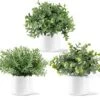 Mkono Fake Plants In Ceramic Pot, 3 Pack Potted Artificial Eucalyptus Plants For Home Decor Indoor Faux Green Rosemary For Desk Shelf Coffee Centerpiece Bathroom Office Decor -Green Leaf Store 51usVowLiDL