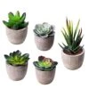 Jelofly Fake Plants Artificial Succulent Plants Assorted Decorative Faux Succulent Potted Fake Cactus Cacti Plants Gray Pots, Set Of 5 9 Jelofly Fake Plants Artificial Succulent Plants Assorted Decorative Faux Succulent Potted Fake Cactus Cacti Plants Gray Pots, Set Of 5 -Green Leaf Store 51uyonDcaiL