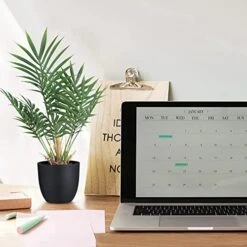 WOODWORD 2 Pack Fake Plant With Pot 16" Desk Plant Artificial Potted Faux Plants For Office Desk Shelf Home Farmhouse Decor (Bamboo Leaf) 12 WOODWORD 2 Pack Fake Plant With Pot 16" Desk Plant Artificial Potted Faux Plants For Office Desk Shelf Home Farmhouse Decor (Bamboo Leaf) -Green Leaf Store 51v02672H4L