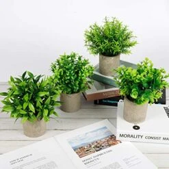 CEWOR Artificial Potted Plants, Mini Fake Plant Greenery Decoration For Barhroom Shelf Home Office Desk Table Indoor Decor, 4 Pack 11 CEWOR Artificial Potted Plants, Mini Fake Plant Greenery Decoration For Barhroom Shelf Home Office Desk Table Indoor Decor, 4 Pack -Green Leaf Store 51vGxFhhugL