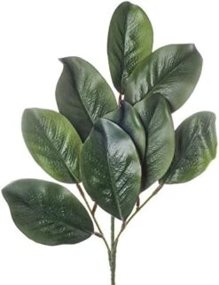 Factory Direct Craft Artificial Magnolia Leaf Bush Realistic Faux Magnolia Leaves For Natural Look Greenery In Floral Designs, Wedding Decor, Home Decor, And Holiday Decorating -Green Leaf Store 51vliBMsE1L. AC
