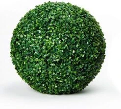 ELITE FLORAL Boxwood Topiary Ball – Artificial Topiary Plant For Weddings, Parties, Home Decoration, Topiary Substitution, Indoor Artificial Plant Ball – 4” Diameter – Green 24 ELITE FLORAL Boxwood Topiary Ball – Artificial Topiary Plant For Weddings, Parties, Home Decoration, Topiary Substitution, Indoor Artificial Plant Ball – 4” Diameter – Green -Green Leaf Store 51vshbFqvwL. AC