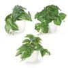 Dahey 3 Pack Fake Potted Plant Artificial Plants For Home Decor Indoor, Broad Leaved Faux Plants Indoor Desk Plant With 4 Inch Frosted Plastic Planter For Office Bathroom Greenery Decoration -Green Leaf Store 51wnnT18eJL