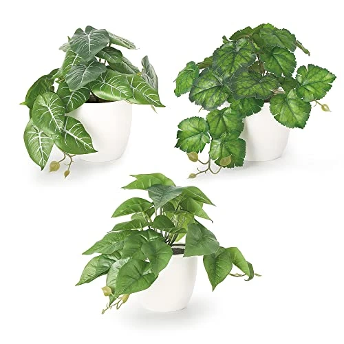 Dahey 3 Pack Fake Potted Plant Artificial Plants For Home Decor Indoor, Broad Leaved Faux Plants Indoor Desk Plant With 4 Inch Frosted Plastic Planter For Office Bathroom Greenery Decoration 1 Dahey 3 Pack Fake Potted Plant Artificial Plants For Home Decor Indoor, Broad Leaved Faux Plants Indoor Desk Plant With 4 Inch Frosted Plastic Planter For Office Bathroom Greenery Decoration