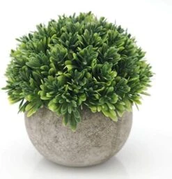 Velener 2Pcs Mini Artificial Boxwood Topiary Faux Plants Indoor- Small Fake Plants Decor Magnolia Home Office Desk Cubicle Farmhouse Kitchen Bookshelf Bedroom Bathroom Decor, Aloe Vera Zen Garden 20 Velener 2Pcs Mini Artificial Boxwood Topiary Faux Plants Indoor- Small Fake Plants Decor Magnolia Home Office Desk Cubicle Farmhouse Kitchen Bookshelf Bedroom Bathroom Decor, Aloe Vera Zen Garden -Green Leaf Store 51wyXjOJgJL. AC