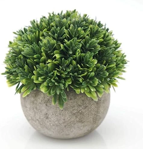 Velener 2Pcs Mini Artificial Boxwood Topiary Faux Plants Indoor- Small Fake Plants Decor Magnolia Home Office Desk Cubicle Farmhouse Kitchen Bookshelf Bedroom Bathroom Decor, Aloe Vera Zen Garden 10 Velener 2Pcs Mini Artificial Boxwood Topiary Faux Plants Indoor- Small Fake Plants Decor Magnolia Home Office Desk Cubicle Farmhouse Kitchen Bookshelf Bedroom Bathroom Decor, Aloe Vera Zen Garden - Image 10