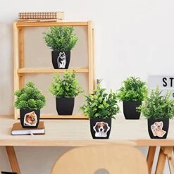 LELEE Fake Potted Plants Mini Artificial Plants, 6 Pcs Small Eucalyptus Potted Faux Decorative Grass Plant With White Pot For Home Decor, Indoor, Office, Desk, Table Decoration -Green Leaf Store 51wzoHTG7xL