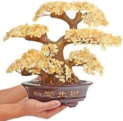 KALIFANO Large Tree Of Life (1,251 Gemstone Count) Chakra Crystal Tree With Healing Properties - Bonsai Feng Shui Money Tree For Healing And Luck -Green Leaf Store 51y9bHd3zWS. AC