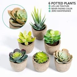 T4U Artificial Succulent Plants In Pot, Assorted Faxu Succulent Fake Cactus Cacti With Grey Pots For Decorative, Set Of 6 6 T4U Artificial Succulent Plants In Pot, Assorted Faxu Succulent Fake Cactus Cacti With Grey Pots For Decorative, Set Of 6 -Green Leaf Store 51yKyhUFyHL