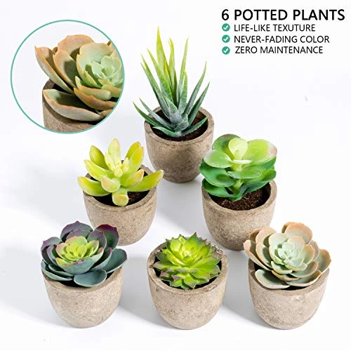 T4U Artificial Succulent Plants In Pot, Assorted Faxu Succulent Fake Cactus Cacti With Grey Pots For Decorative, Set Of 6 3 T4U Artificial Succulent Plants In Pot, Assorted Faxu Succulent Fake Cactus Cacti With Grey Pots For Decorative, Set Of 6 - Image 3