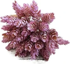 YABINA 6 Capensia Bush, Artificial Plant (B) 8 YABINA 6 Capensia Bush, Artificial Plant (B) -Green Leaf Store 51yV4DQ7ZpL. AC