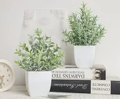 A Bundle Of Pack Mini Potted Fake Plants And 2 Packs Mini Fake Plants Small Artificial Plants For Bathroom Farmhouse Office Home Decor Indoor 8 A Bundle Of Pack Mini Potted Fake Plants And 2 Packs Mini Fake Plants Small Artificial Plants For Bathroom Farmhouse Office Home Decor Indoor -Green Leaf Store 51yYKuxLywL