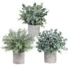Winlyn Set Of 3 Mini Potted Artificial Eucalyptus Plants Plastic Fake Green Rosemary Plant For Home Decor Office Desk Shower Room Decoration -Green Leaf Store 51yhiZspvkL