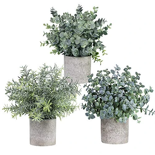 Winlyn Set Of 3 Mini Potted Artificial Eucalyptus Plants Plastic Fake Green Rosemary Plant For Home Decor Office Desk Shower Room Decoration 1 Winlyn Set Of 3 Mini Potted Artificial Eucalyptus Plants Plastic Fake Green Rosemary Plant For Home Decor Office Desk Shower Room Decoration