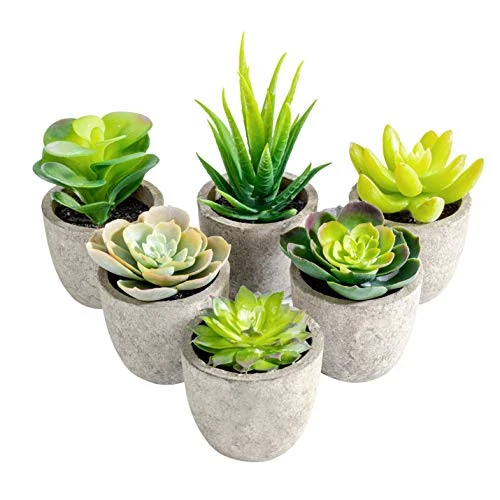 T4U Artificial Succulent Plants In Pot, Assorted Faxu Succulent Fake Cactus Cacti With Grey Pots For Decorative, Set Of 6 1 T4U Artificial Succulent Plants In Pot, Assorted Faxu Succulent Fake Cactus Cacti With Grey Pots For Decorative, Set Of 6