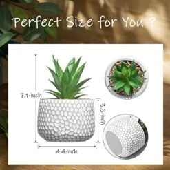 CADNLY Small Artificial Plants In Pots - Fake Plants For Bathroom Office Desk - Faux Succulents Plants Artificial Succulents Decor - Faux Plants Indoor Small Plants Shelf Decor Green Potted Plant -Green Leaf Store 51yzUJgzlbL
