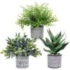 Set Of 3 Assorted Small Potted Plants Fake Eucalyptus Boxwood Plants Aloe Succulent Plant In Black And White Geometric Pots For Table Centerpiece Windowsill Shelf Indoor Outdoor Garden Greenery Decor -Green Leaf Store 51z6Ig2gXHL
