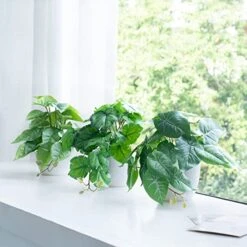 Dahey 3 Pack Fake Potted Plant Artificial Plants For Home Decor Indoor, Broad Leaved Faux Plants Indoor Desk Plant With 4 Inch Frosted Plastic Planter For Office Bathroom Greenery Decoration 5 Dahey 3 Pack Fake Potted Plant Artificial Plants For Home Decor Indoor, Broad Leaved Faux Plants Indoor Desk Plant With 4 Inch Frosted Plastic Planter For Office Bathroom Greenery Decoration -Green Leaf Store 51zzQW6z9uL