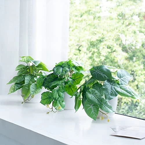 Dahey 3 Pack Fake Potted Plant Artificial Plants For Home Decor Indoor, Broad Leaved Faux Plants Indoor Desk Plant With 4 Inch Frosted Plastic Planter For Office Bathroom Greenery Decoration 2 Dahey 3 Pack Fake Potted Plant Artificial Plants For Home Decor Indoor, Broad Leaved Faux Plants Indoor Desk Plant With 4 Inch Frosted Plastic Planter For Office Bathroom Greenery Decoration - Image 2