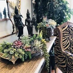 Caqpo Artificial Succulents - 15 Pack - Premium Unpotted Succulent Plants Artificial - Realistic Textured Succulents - Fake Succulent Plants For DIY - Faux Cactus Plant Bulk - Feaux Succulent Plants 10 Caqpo Artificial Succulents - 15 Pack - Premium Unpotted Succulent Plants Artificial - Realistic Textured Succulents - Fake Succulent Plants For DIY - Faux Cactus Plant Bulk - Feaux Succulent Plants -Green Leaf Store 619mSHp3bqL