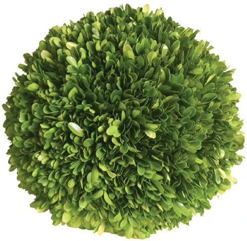 Mills Floral Company Boxwood Ball 6" 1 Mills Floral Company Boxwood Ball 6"