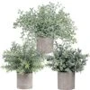 Winlyn Mini Potted Plants Artificial Flocked Eucalyptus Boxwood Rosemary Greenery In Pots Faux Potted Herbs Small Houseplants 8.8"-10" Tall For Indoor Greenery Tabletop Décor Centerpiece 3 Pack -Green Leaf Store 61G50qe7J0L