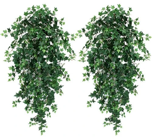 Arcadia Silk Plantation 51" Ivy Artificial Hanging Greenery Bushes, With No Pot, (Pack Of 2) 1 Arcadia Silk Plantation 51" Ivy Artificial Hanging Greenery Bushes, With No Pot, (Pack Of 2)
