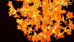 LIGHTSHARE 6FT 120LED Artificial Lighted Maple Tree Warm White Fall Decorations Indoor Ourdoor, Orange 13 LIGHTSHARE 6FT 120LED Artificial Lighted Maple Tree Warm White Fall Decorations Indoor Ourdoor, Orange -Green Leaf Store 61L5IDMjBrL