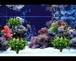 TEMCHY 24 Bundles Outdoor Artificial Boxwood Stems Faux Plants Shrubs, Fake UV Resistant Greenery Foliage Spring For Farmhouse, Home, Garden, Office, Patio, Wedding Decor 10 TEMCHY 24 Bundles Outdoor Artificial Boxwood Stems Faux Plants Shrubs, Fake UV Resistant Greenery Foliage Spring For Farmhouse, Home, Garden, Office, Patio, Wedding Decor -Green Leaf Store 61MZu3mUhsL