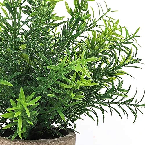 CEWOR 2 Pack Artificial Plants Mini Potted Plants Fake Bamboo Leaves Faux Rosemary Small House Plants For Home Office Desk Room Decor 2 CEWOR 2 Pack Artificial Plants Mini Potted Plants Fake Bamboo Leaves Faux Rosemary Small House Plants For Home Office Desk Room Decor - Image 2