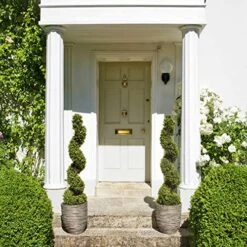 2 X Artificial Premium Quality Topiary Boxwood Spiral Trees In Black Pot For Indoor Outdoor Decor, UV Stable (3ft/90cm) … 5 2 X Artificial Premium Quality Topiary Boxwood Spiral Trees In Black Pot For Indoor Outdoor Decor, UV Stable (3ft/90cm) … -Green Leaf Store 61PBsnhAV0L