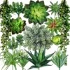 Winlyn 15 Pcs Artificial Succulents Unpotted Bulk Small Faux Succulent Plants Hanging Succulents Hops Aloe For Succulent Garden Wreath Floral Arrangement Indoor Outdoor Green Decor -Green Leaf Store 61PSPOv5vzL