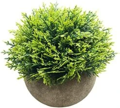 Svenee Mini Fake Cypress Cedar Plants For Bathroom Home Office Desk Decor, Small Artificial Faux Greenery For Farmhouse Decorations (Potted Plants) (1) -Green Leaf Store 61TNsSWlMcS. AC 1