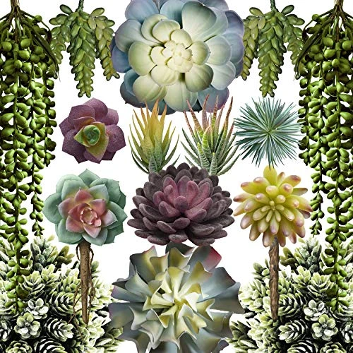 Caqpo Artificial Succulents - 15 Pack - Premium Unpotted Succulent Plants Artificial - Realistic Textured Succulents - Fake Succulent Plants For DIY - Faux Cactus Plant Bulk - Feaux Succulent Plants 1 Caqpo Artificial Succulents - 15 Pack - Premium Unpotted Succulent Plants Artificial - Realistic Textured Succulents - Fake Succulent Plants For DIY - Faux Cactus Plant Bulk - Feaux Succulent Plants