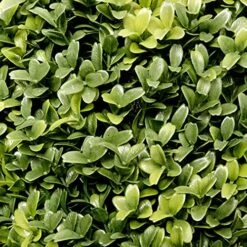 2 X Artificial Premium Quality Topiary Boxwood Ball Plants In Black Pots For Indoor Outdoor Decor, UV Stable (20in/50cm) 9 2 X Artificial Premium Quality Topiary Boxwood Ball Plants In Black Pots For Indoor Outdoor Decor, UV Stable (20in/50cm) -Green Leaf Store 61Z2izsJFRS