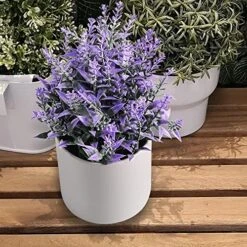 HomEdge Artificial Mini Potted Lavender, Artificial Plastic Plant Greenery With Pot For Home, Office Desk Decoration 5 HomEdge Artificial Mini Potted Lavender, Artificial Plastic Plant Greenery With Pot For Home, Office Desk Decoration -Green Leaf Store 61cULBUQoAL