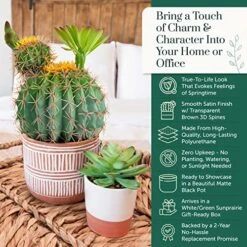 Sunprairie 14” & 30” Tall Rustic Artificial Cactus In Bloom With Soft Spines —Plant Decor Including Attractively Matching Matte Black Pot—Gorgeous Artificial Succulent Plants. -Green Leaf Store 61d2xMaSUnL