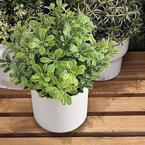 HomEdge Artificial Mini Potted Boxwood, Artificial Plastic Plant Greenery With Pot For Home, Office Desk Decoration 4 HomEdge Artificial Mini Potted Boxwood, Artificial Plastic Plant Greenery With Pot For Home, Office Desk Decoration - Image 4