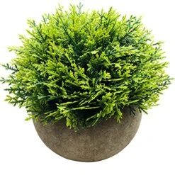 Svenee Mini Fake Cypress Cedar Plants For Bathroom Home Office Desk Decor, Small Artificial Faux Greenery For Farmhouse Decorations (Potted Plants) (1) -Green Leaf Store 61etYtuFsJS