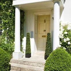 2 X Artificial Premium Quality Topiary Boxwood Pyramid Trees In Black Square Planter For Indoor Outdoor Decor, UV Stable (4ft/120cm) … -Green Leaf Store 61f5VQH7w7L