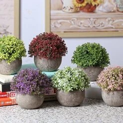 Velener Mini Plastic Artificial Pine Ball Topiary Plant With Pots For Home Decor (Green Clover) -Green Leaf Store 61gucH2TdZL