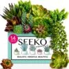 Seeko Artificial Succulents (14 Pack) - Premium Succulent Plants Artificial - Realistic Faux Succulents - Unpotted Textured Fake Succulents Decor For DIY - Fake Plants -Green Leaf Store 61hhUjBIxpL