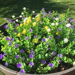 CEWOR 8pcs Artificial Greenery Plants Outdoor UV Resistant Fake Plastic Boxwood Shrubs Grass Stems For Home Wedding Courtyard Indoor And Outside Garden Porch Patio Window Box Farmhouse Decoration -Green Leaf Store 61iXNn8400L