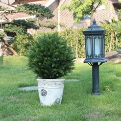 ECOLVANT Two 20''T Artificial Cedar Topiary Ball Tree UV Resistant Potted Plants Artificial Shrubs Bushes Potted Tree For Indoor Outdoor Home Garden -Green Leaf Store 61j91ISgSsL